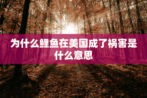 为什么鲤鱼在美国成了祸害是什么意思